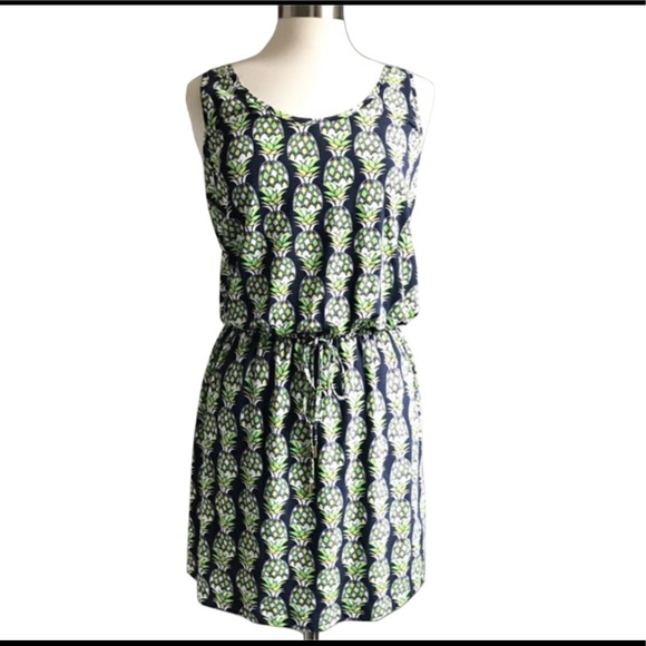 Banana Republic Dresses & Skirts - NWT Banana Republic Pineapple tank dress|small